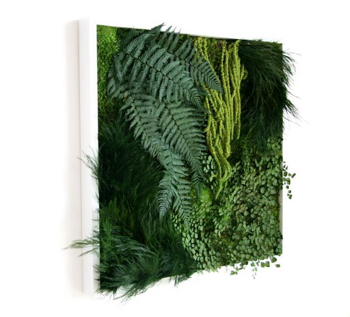 Pared vegetal