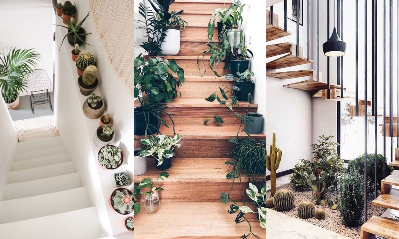 Charlotte Bronte regla eficiencia Decorar escaleras con plantas - Ideas - Fotos - Plantas de interior