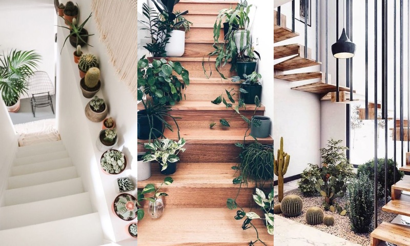 Resbaladizo beneficioso Coincidencia Decorar escaleras con plantas - Ideas - Fotos - Plantas de interior