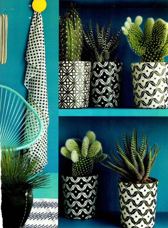 cactus-decoracion-1