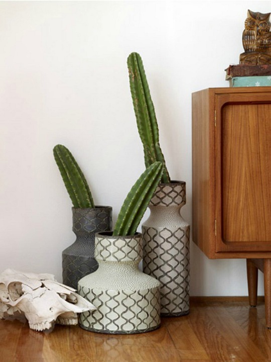 cactus-decoracion-5