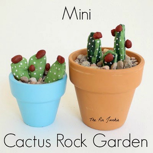 cactus-piedras-1