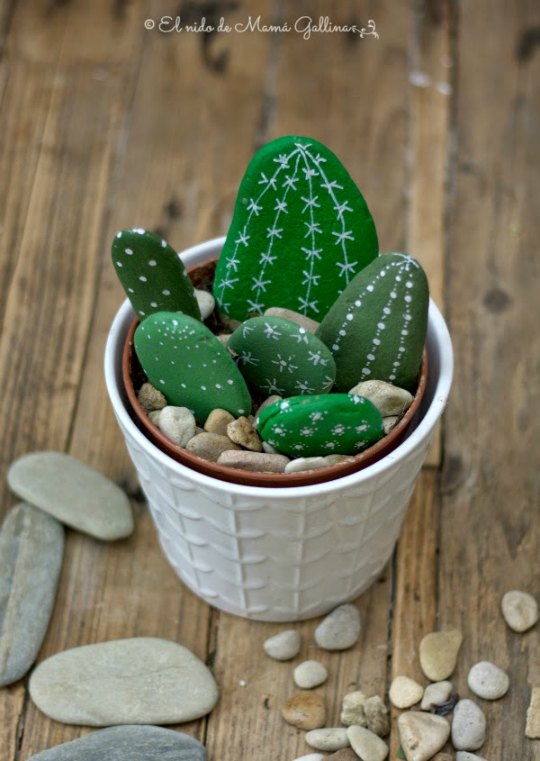 cactus-piedras-5