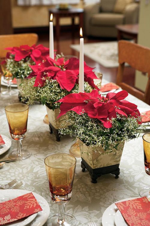 Los mejores centros de flores para Navidad