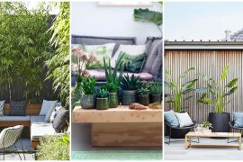 Cómo decorar una terraza con plantas y flores