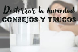 Desterrar la humedad: Consejos y trucos