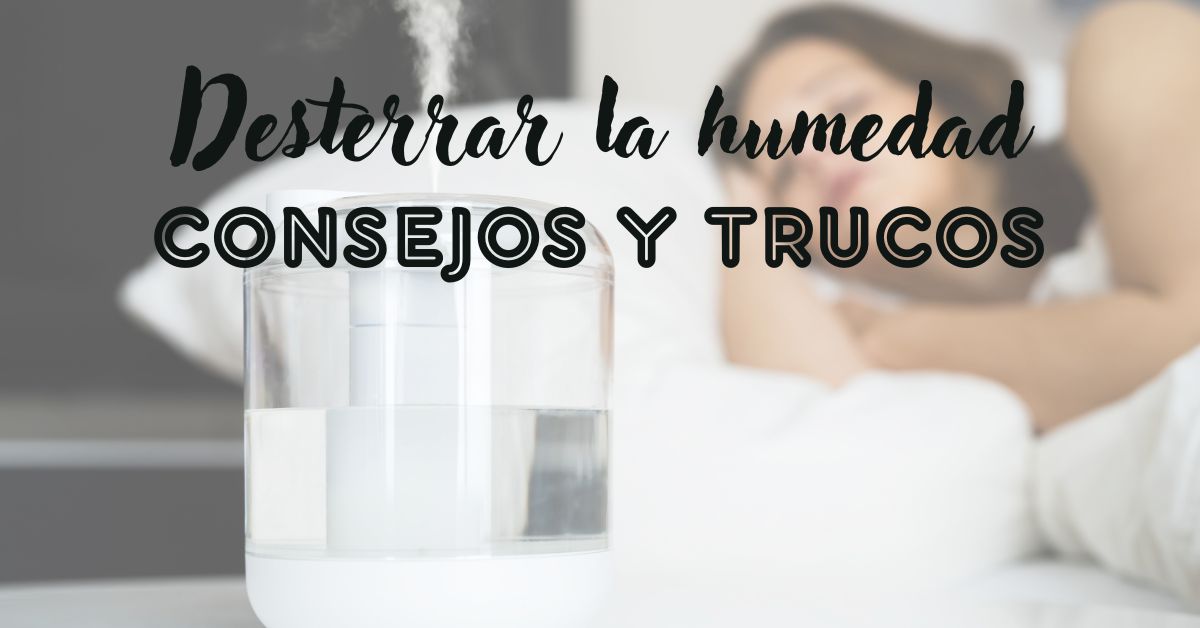 Desterrar la humedad: Consejos y trucos