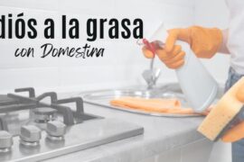 Di adiós a la grasa