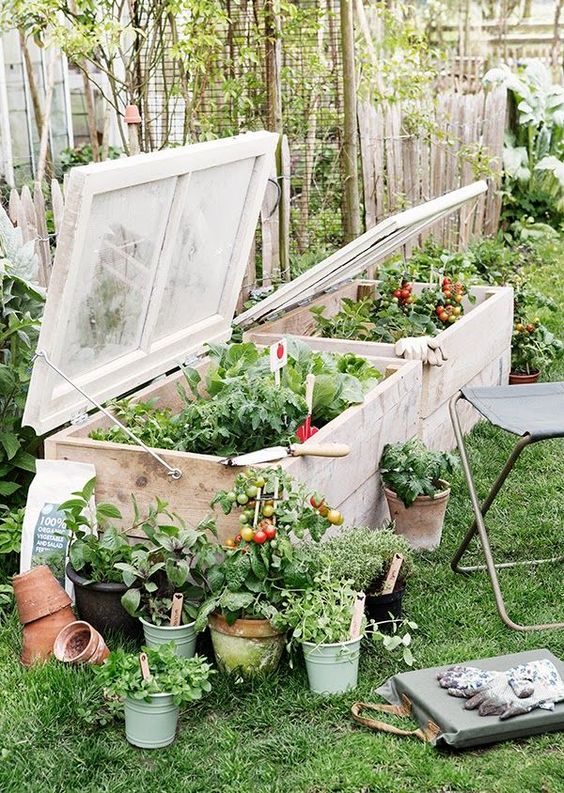 Ideas invernaderos jardín