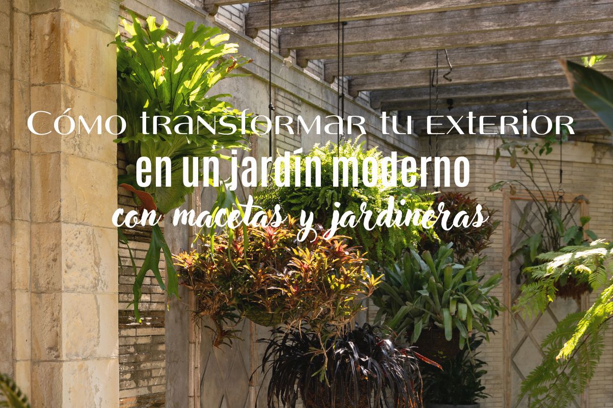 Cómo transformar tu exterior en un jardín moderno con macetas y jardineras