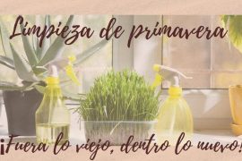 Limpieza de primavera 7 tips infalibles