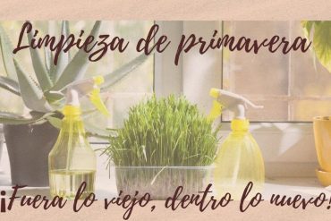 Limpieza de primavera 7 tips infalibles