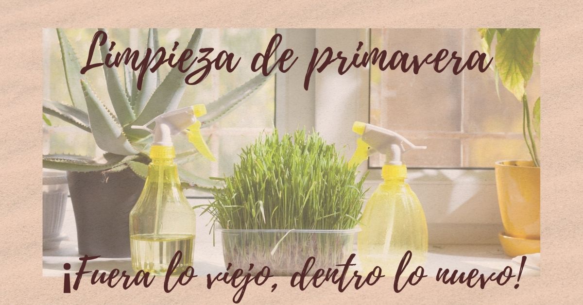 Limpieza de primavera 7 tips infalibles