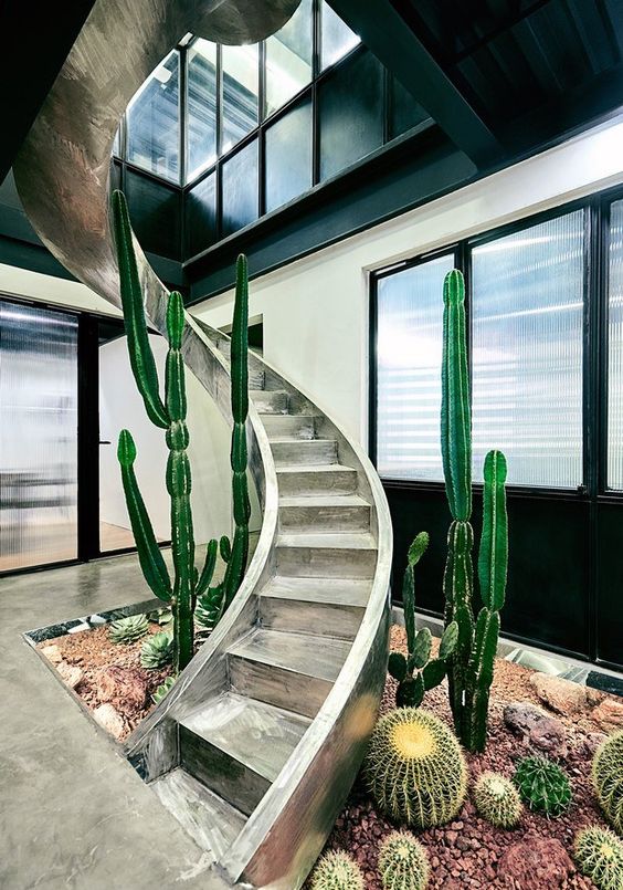 Hueco escaleras con plantas