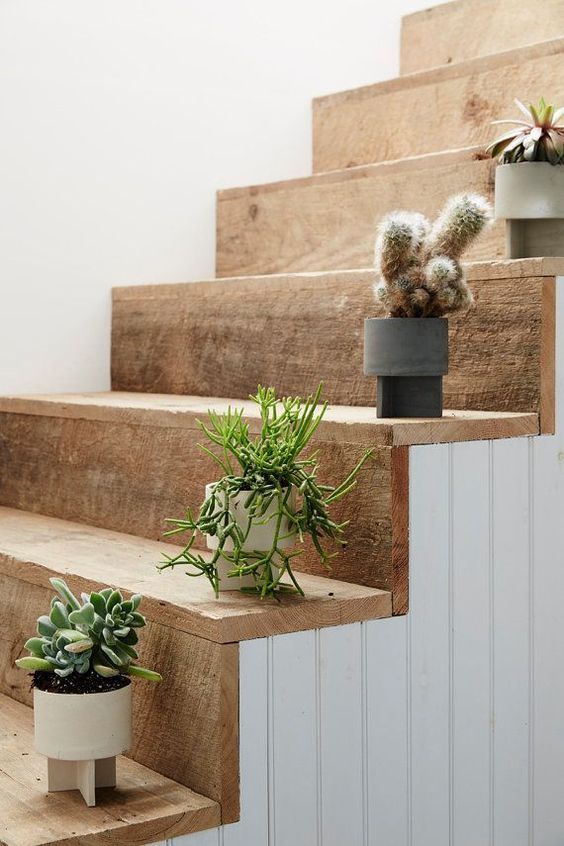 Plantas en escalones