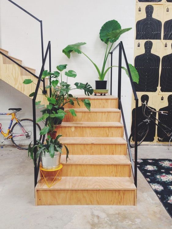 Plantas en escalones