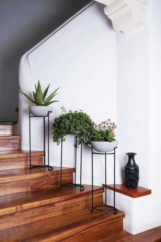 Plantas en escalones