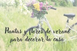 Las plantas y flores de verano para decorar la casa