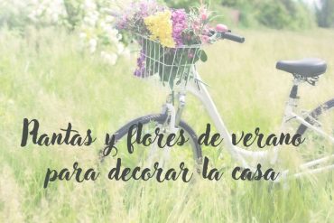 Las plantas y flores de verano para decorar la casa