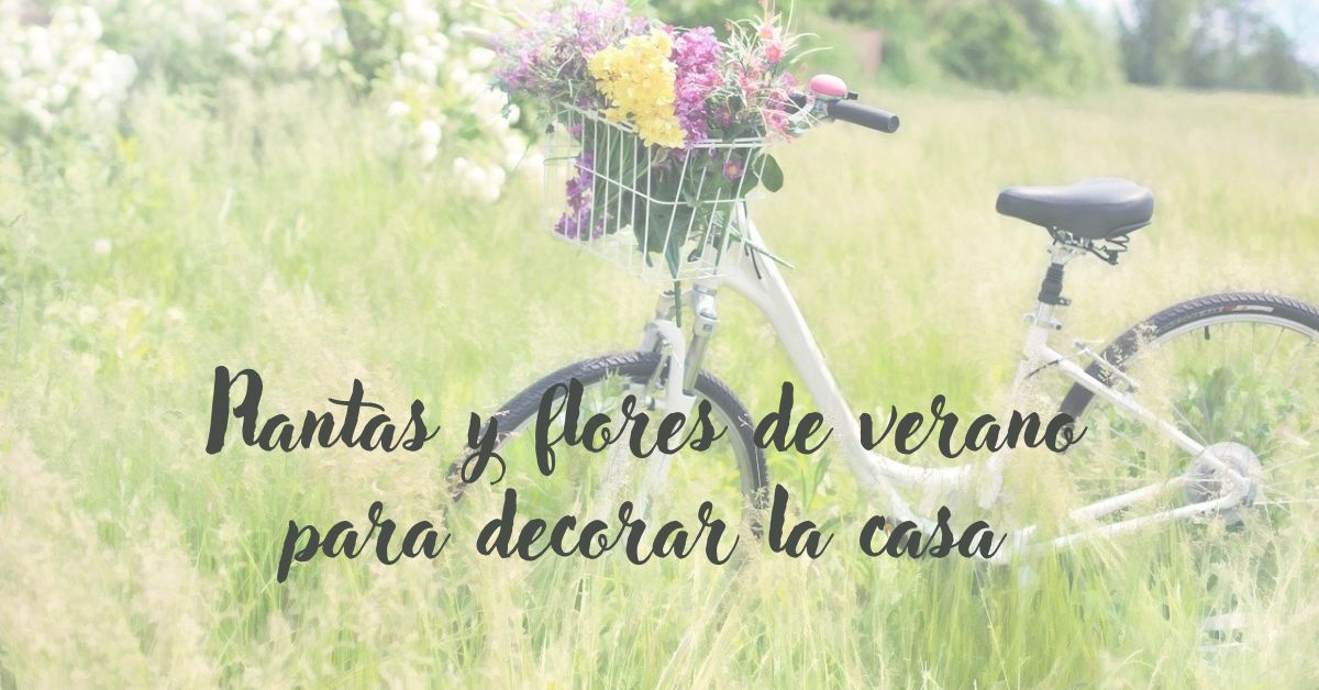 Las plantas y flores de verano para decorar la casa