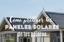 Antipájaros, la opción ideal para proteger tus paneles solares