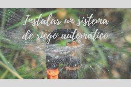 Cuándo conviene instalar un sistema de riego automático